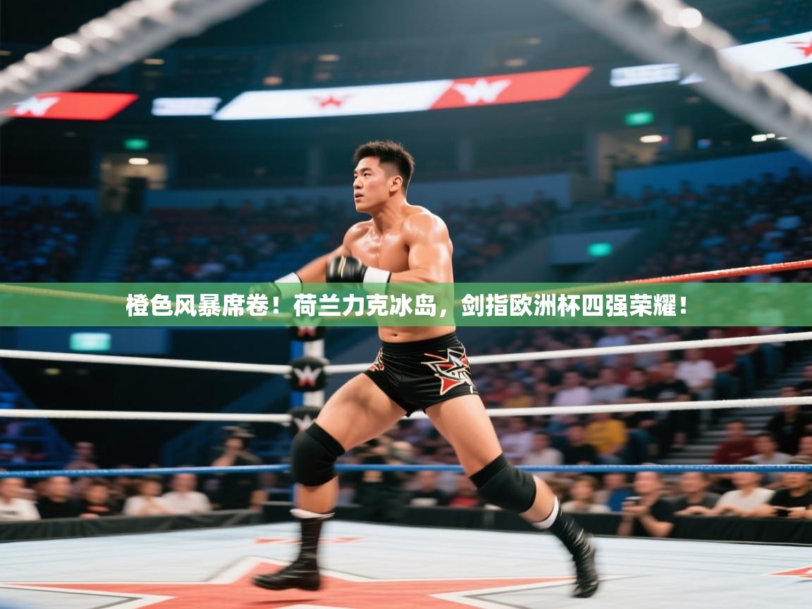 橙色风暴席卷！荷兰力克冰岛，剑指欧洲杯四强荣耀！  第2张